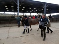 dsc01474 30747767902 o