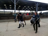 dsc01475 30864303275 o