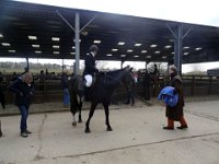 dsc01528 30776188651 o