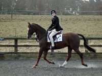 dsc 0509 30231004304 o