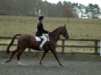 dsc 0515 30231014854 o