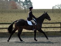 dsc 0555 30863194415 o