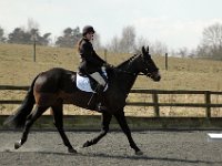 dsc 0560 30775035941 o