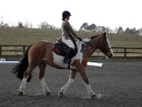 dsc 0568 30826703746 o