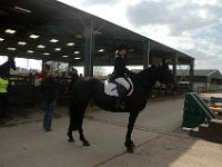 dsc 0602 30231140944 o