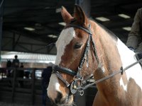 dsc 0630 30826793756 o