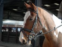 dsc 0631 30746840812 o