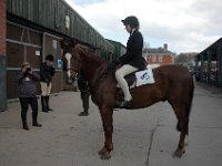 dsc 0638 30562099630 o