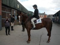 dsc 0639 30826803456 o