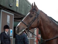 dsc 0642 30775134851 o