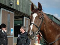 dsc 0644 30775138471 o