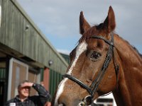 dsc 0645 30227754513 o