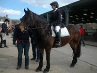 dsc 0649 30775143991 o