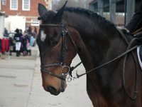 dsc 0660 30863324895 o