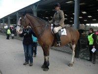 dsc 0663 30863326765 o