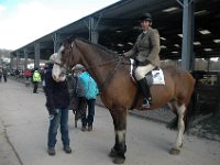 dsc 0664 30863327515 o