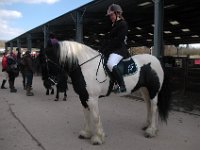 dsc 0678 30863343305 o