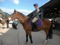 dsc 0710 30775210751 o