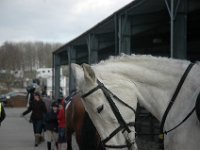 dsc 0716 30746938162 o