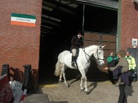 dsc 0720 30231269784 o