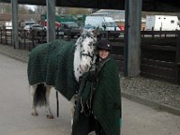 dsc 0735 30562257000 o