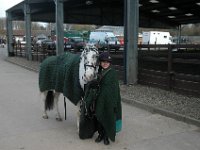 dsc 0736 30826883426 o