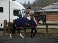 dsc 0739 30227892003 o