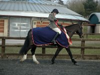 dsc 0741 30826888236 o