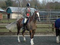 dsc 0743 30775246911 o