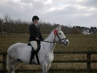 dsc 0801 30775304681 o