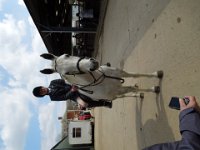 dscn1298 30830318596 o