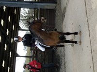 dscn1306 30231205043 o