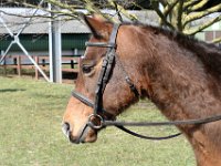 img 5951 30748261312 o