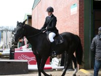 img 6004 30828352746 o