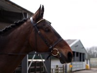 img 6011 30232680784 o