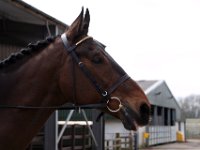 img 6012 30229264643 o