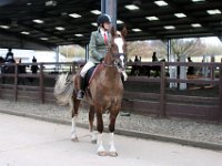 img 6037 30229319343 o