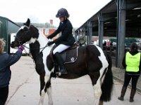 img 6038 30748375672 o