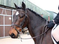 img 6089 30864970875 o