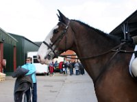 img 6106 30229400193 o