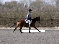 img 8752 30777775431 o