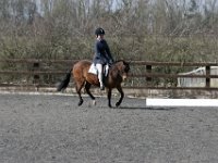 img 8753 30233810264 o