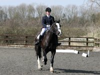 img 8773 30230420743 o