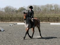 img 8777 30866068405 o