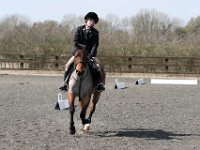 img 8782 30829640046 o