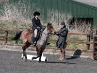 img 8784 30233869874 o