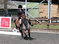 img 8785 30866082835 o