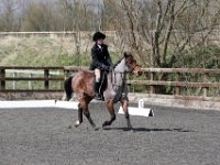 img 8786 30230448393 o