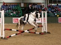 img 8894 30749746152 o