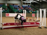 img 8931 30749785492 o